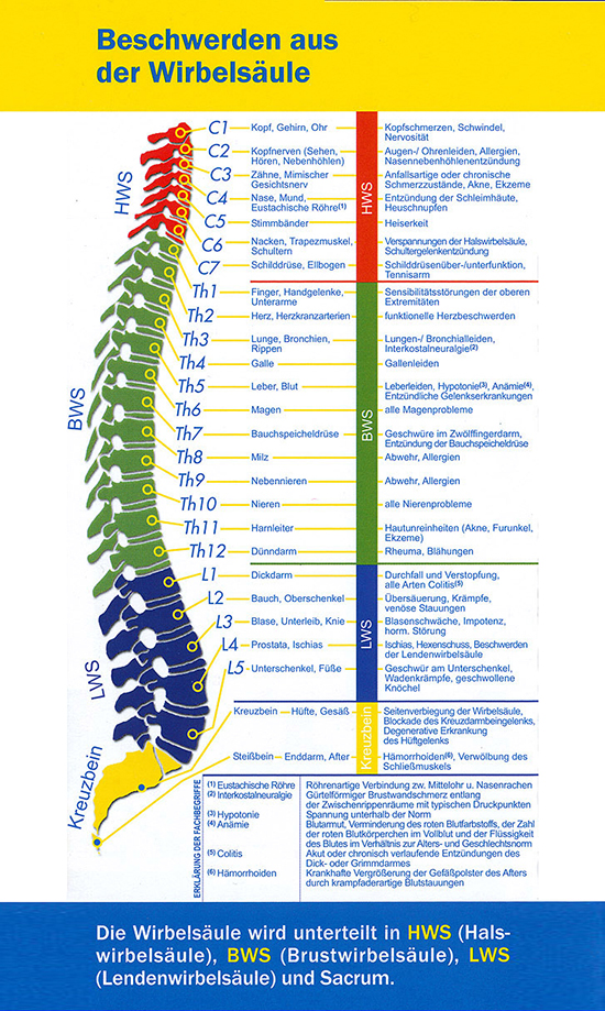 Die medizinische Massageliege - Facharzt für Orthopädie,
Chirotherapie & Akupunktur Dr. med. Dimitrios Pappas in 44787 Bochum